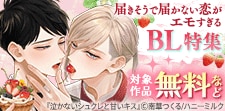 届きそうで届かない恋がエモすぎるBL特集