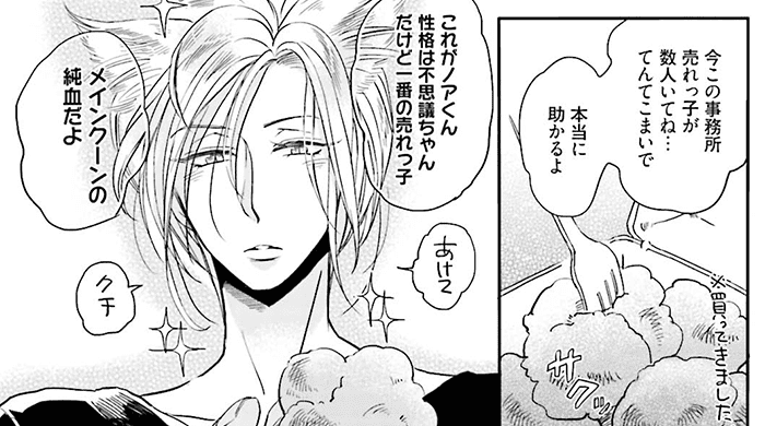 コマサム