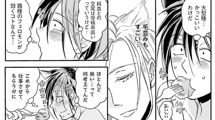 コマサム