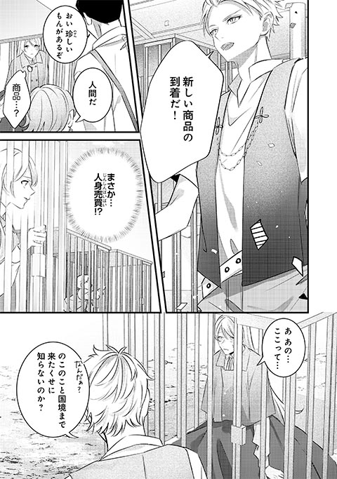 koma15
