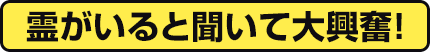 霊がいると聞いて大興奮!