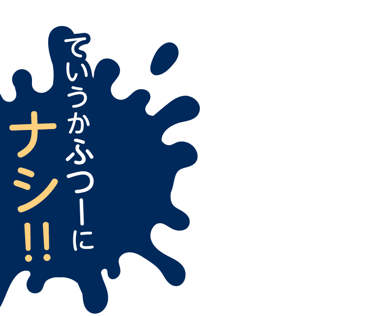 ていうかふつーにナシ!!
