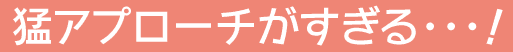 猛アプローチがすぎる…!