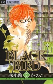 BLACK BIRD 12