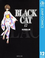 BLACK CAT 12