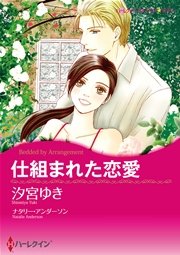 ハーレクイン 永遠の愛へかわるときセット vol.3