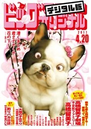 ビッグコミックオリジナル 2017年8号(2017年4月5日発売)