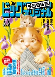 ビッグコミックオリジナル 2017年9号(2017年4月20日発売)