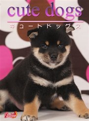 cute dogs08 柴犬