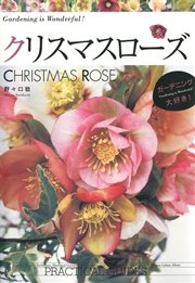 クリスマスローズ CHRISTMAS ROSE