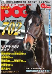 週刊Gallop（ギャロップ） 臨時増刊 丸ごとPOG 2018～2019