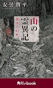 山の霊異記 霧中の幻影 （角川ebook）