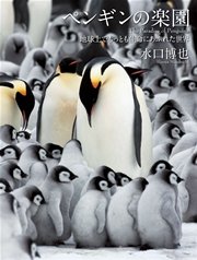 ペンギンの楽園 地球上でもっとも生命にあふれた世界