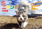 旅猫ニャン吉写真集 どんニャときでも笑う門には福来る！