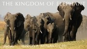 THE KINGDOM OF ELEPHANT