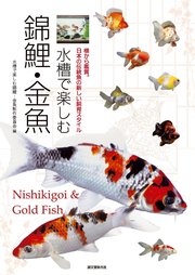 水槽で楽しむ錦鯉・金魚：横から鑑賞。日本の伝統魚の新しい飼育スタイル