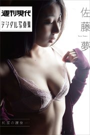 佐藤夢 純潔の裸身vol．1