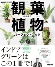 NHK趣味の園芸 観葉植物 パーフェクトブック