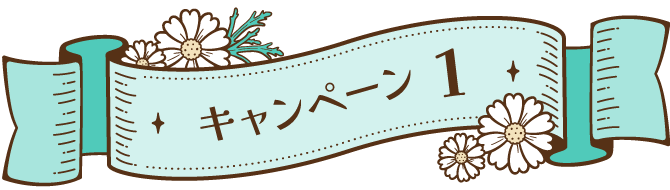 キャンペーン 1
