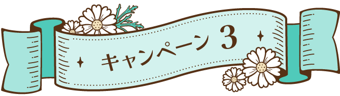 キャンペーン 3