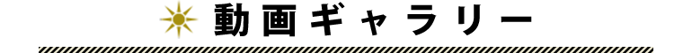 動画ギャラリー