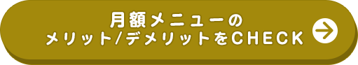 月額メニューのメリット/デメリットをCHECK