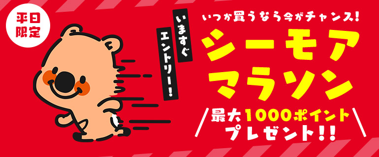 エントリーして参加！シーモアマラソン