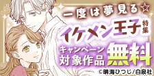 一度は夢見る☆イケメン王子特集