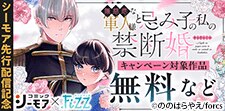 【協業】「無慈悲な軍人様と忌み子の私の禁断婚」先行配信記念