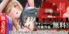 「蜘蛛は襟足に針を刺す」新刊配信記念