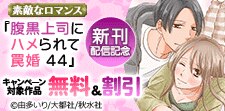 素敵なロマンス