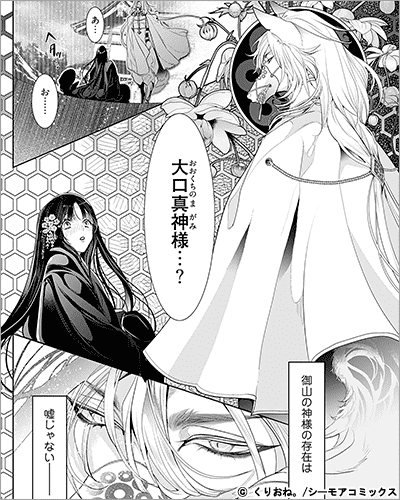 嘘月姫の嫁入り～捨てられた私が狼神様に寵愛されるまで～【描き下ろしおまけ付き特装版】