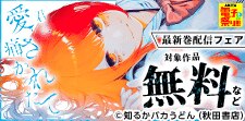【AKITA電子祭り 夏の陣】「君に愛されて痛かった」新刊