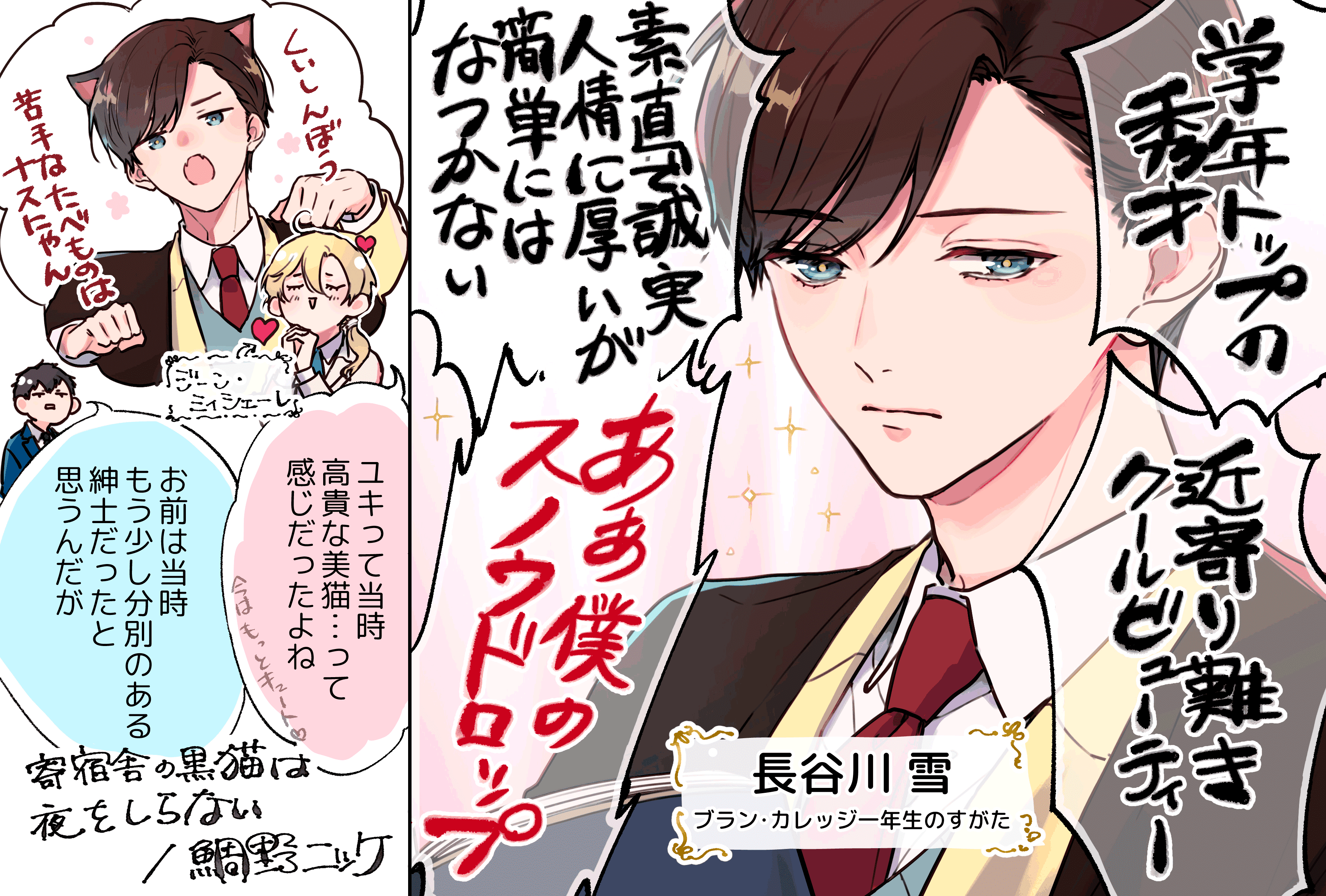寄宿舎の黒猫は夜をしらない