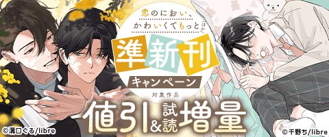 27 BL本まとめ売り　ボーイズラブコミックス　BOYS LOVE COMICS 32 BL本まとめ売り ボーイズラブコミックス BOYS LOVE COMICS