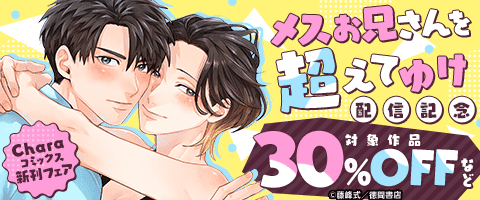 30 BL本まとめ売り　ボーイズラブコミックス　BOYS LOVE COMICS 30 BL本まとめ売り ボーイズラブコミックス BOYS LOVE COMICS 漫画