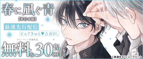 BLコミック まとめ売り バラ売り可 漫画 ボーイズラブ　⑯ BL コミック まとめ売り バラ売可 - メルカリ