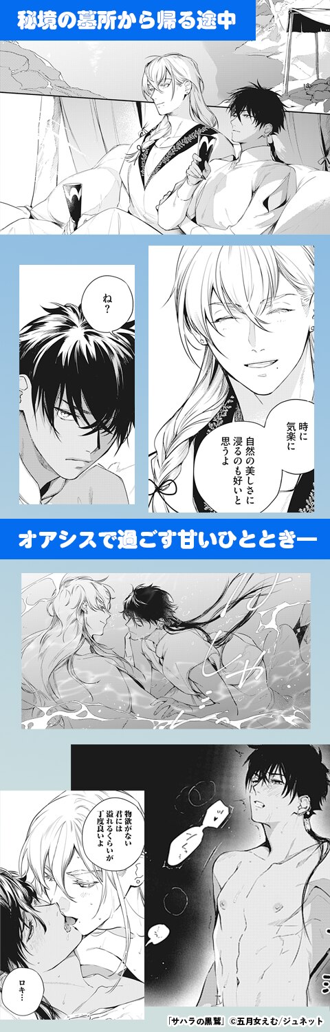サハラの黒鷲【シーモア限定BOOK】