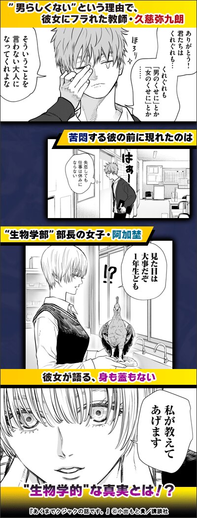あくまでクジャクの話です。