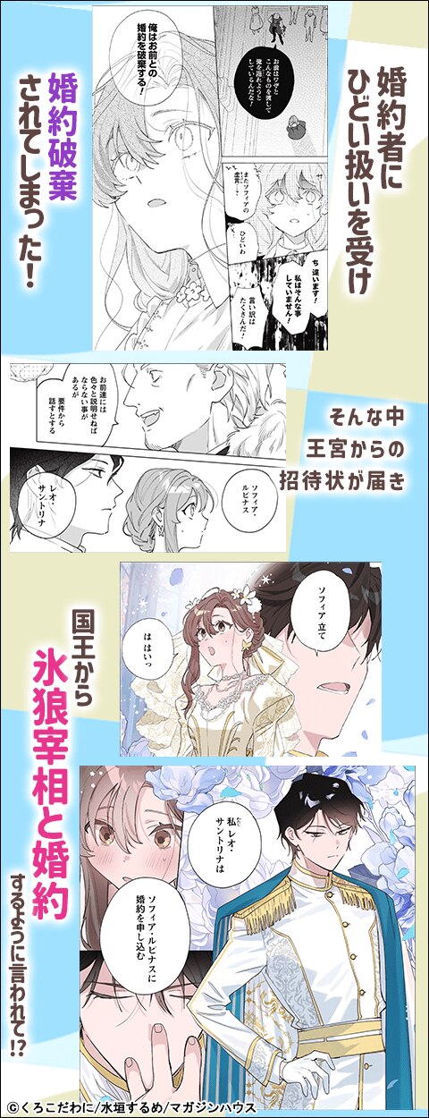 虐げられの魔術師令嬢は、『氷狼宰相』様に溺愛される【単話】