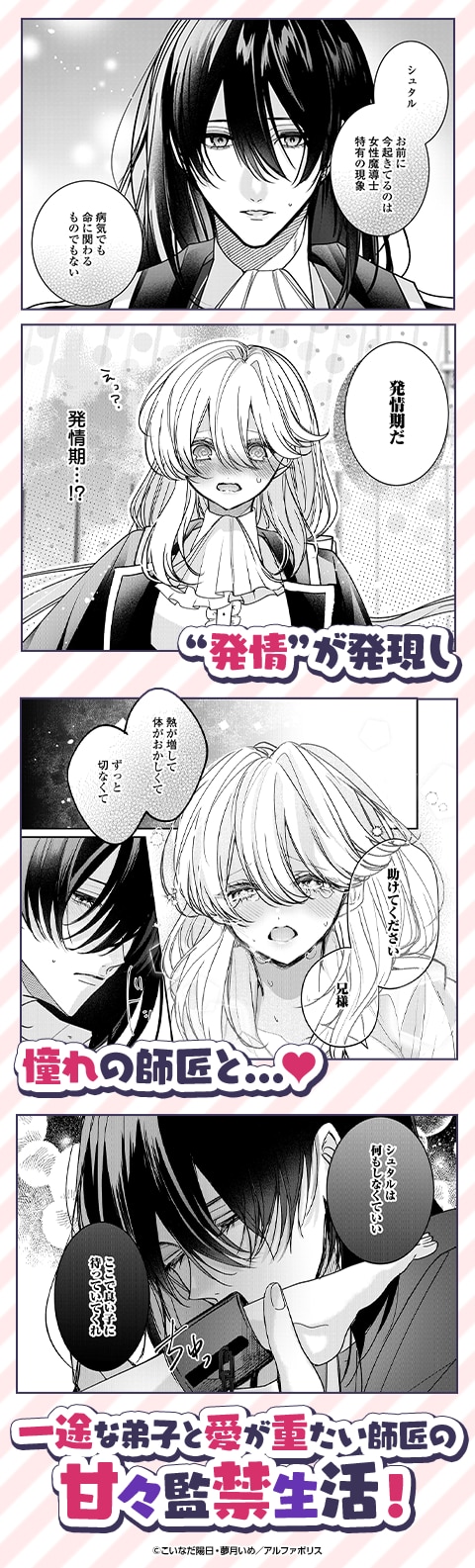 宮廷魔導士は鎖で繋がれ溺愛される
