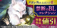 禁断のBLコレクション