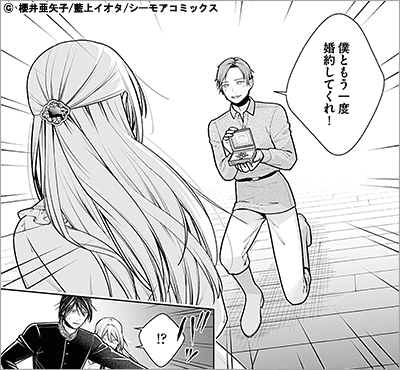 偽聖女の妹にすべてを奪われた私が本当の聖女でした 9巻