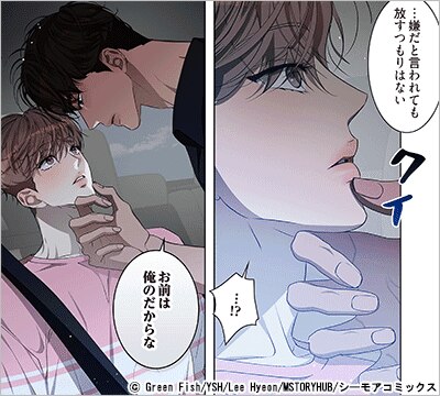 穏やかな執着(フルカラー) 14巻