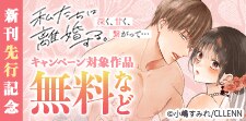 「私たちは離婚する。深く、甘く、繋がって… 」新刊先行記念