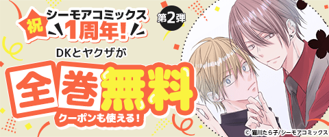 28 BL本まとめ売り　ボーイズラブコミックス　BOYS LOVE COMICS BL本28冊セット バラ売り不可 BLコミック ボーイズラブ 漫画