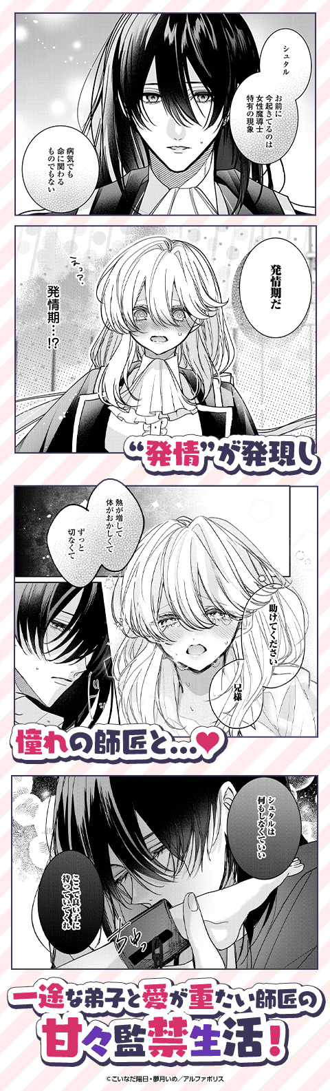 宮廷魔導士は鎖で繋がれ溺愛される