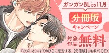 分冊版キャンペーン11月(BLiss)