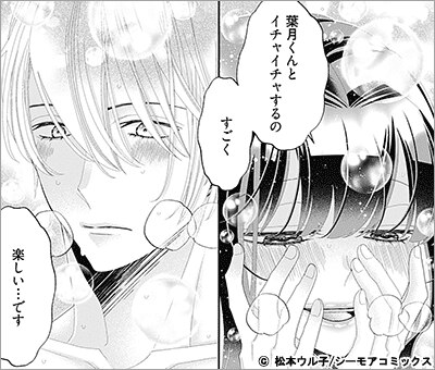 嘘つき葉月くんは溺愛を我慢できない 13巻