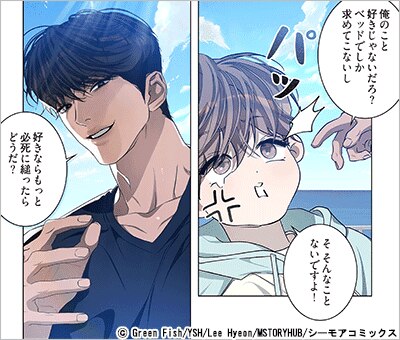 穏やかな執着(フルカラー) 17巻